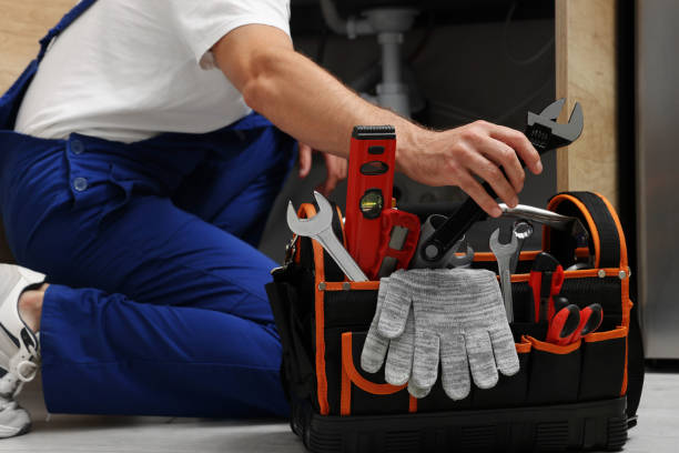 Best Clogged Drain Plumber  in Coalfield, TN