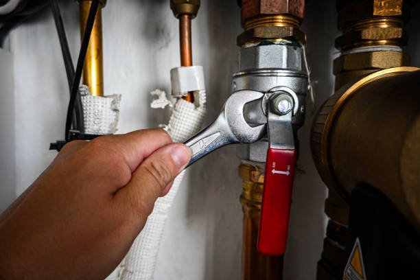 Best Sewer Line Repair  in Coalfield, TN